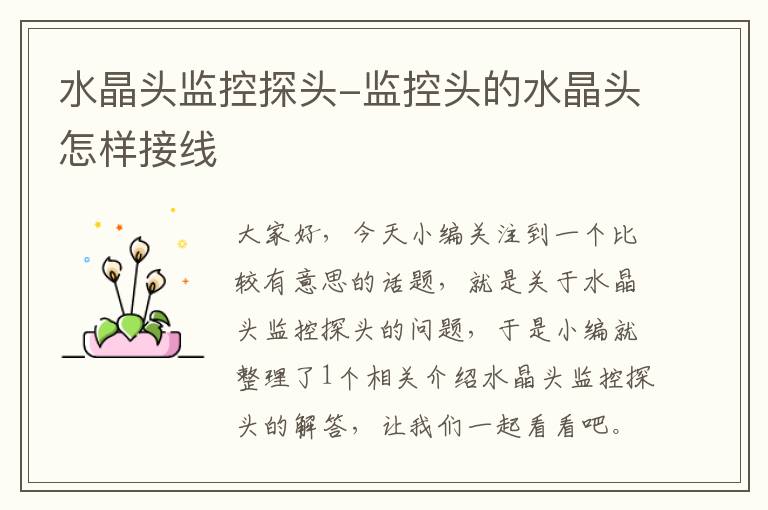 水晶头监控探头-监控头的水晶头怎样接线