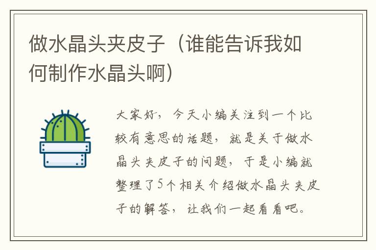 做水晶头夹皮子（谁能告诉我如何制作水晶头啊）