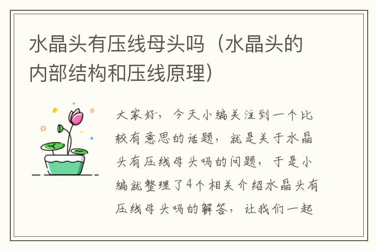 水晶头有压线母头吗(水晶头的内部结构和压线原理)