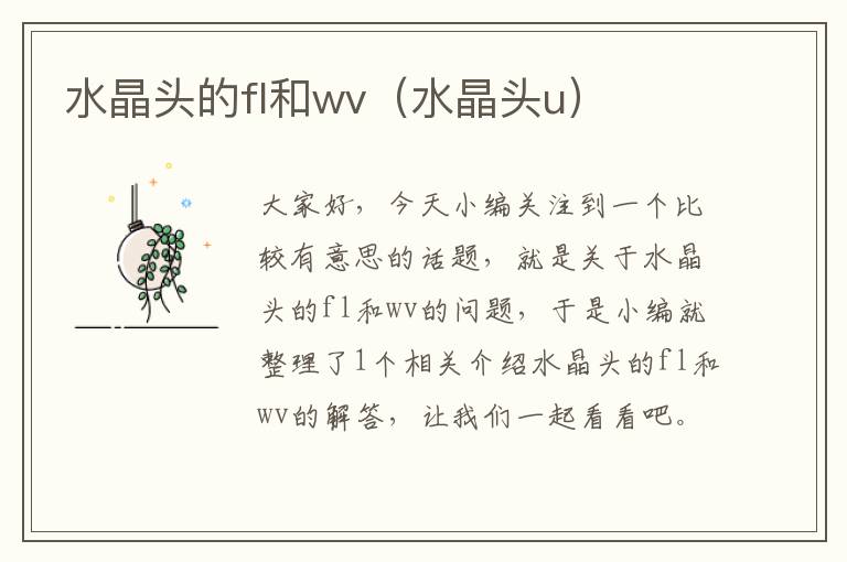 水晶头的fl和wv(水晶头u)