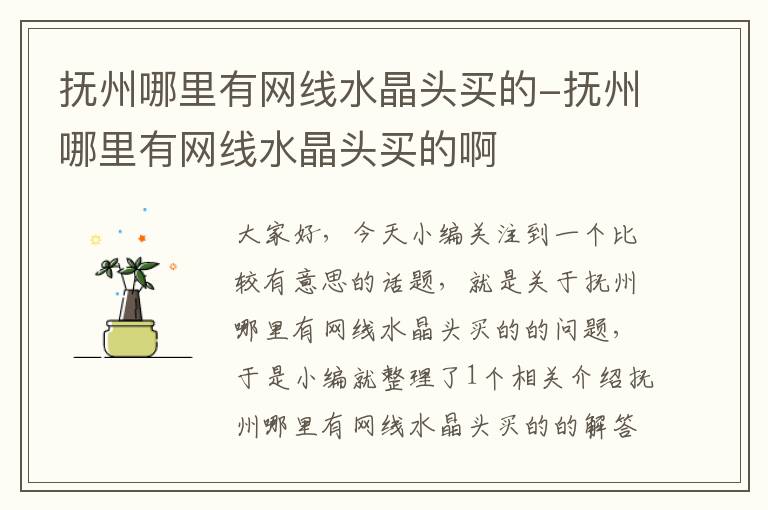 抚州哪里有网线水晶头买的-抚州哪里有网线水晶头买的啊