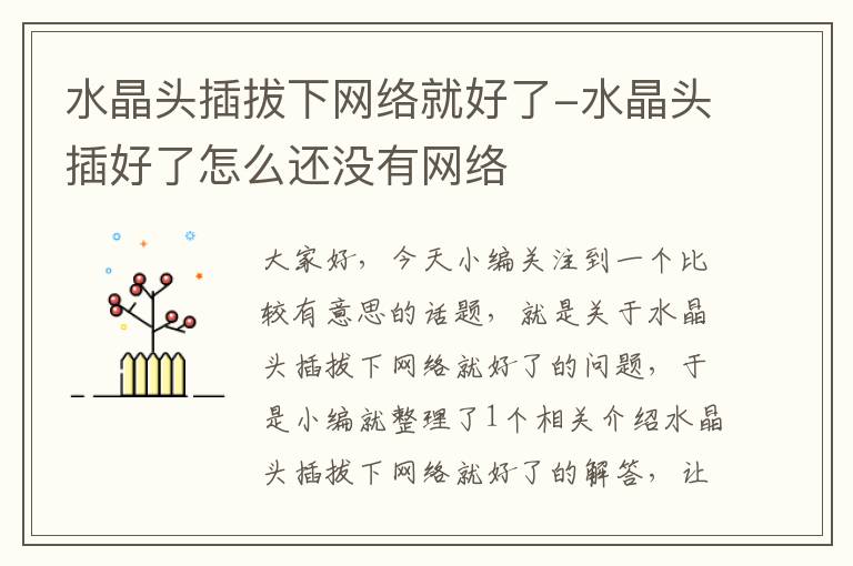 水晶头插拔下网络就好了-水晶头插好了怎么还没有网络