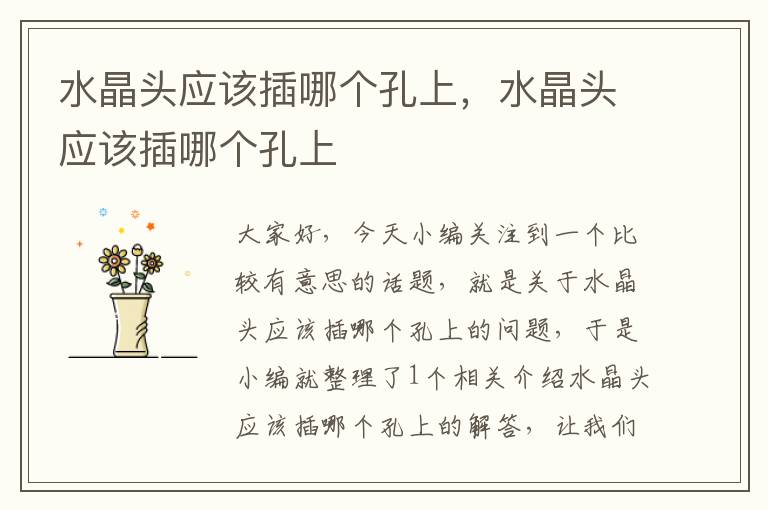 水晶头应该插哪个孔上,水晶头应该插哪个孔上