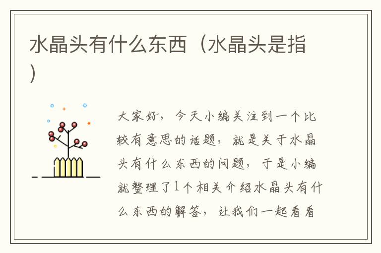 水晶头有什么东西(水晶头是指)