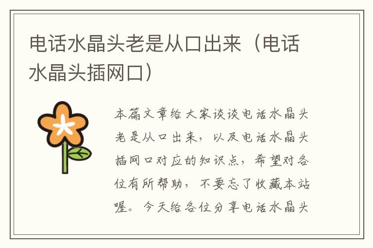 电话水晶头老是从口出来(电话水晶头插网口)
