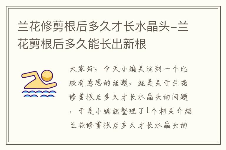兰花修剪根后多久才长水晶头-兰花剪根后多久能长出新根