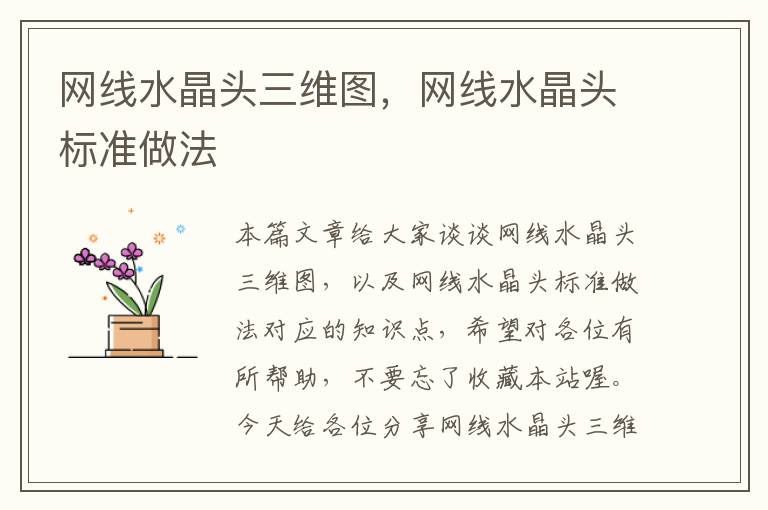 网线水晶头三维图,网线水晶头标准做法