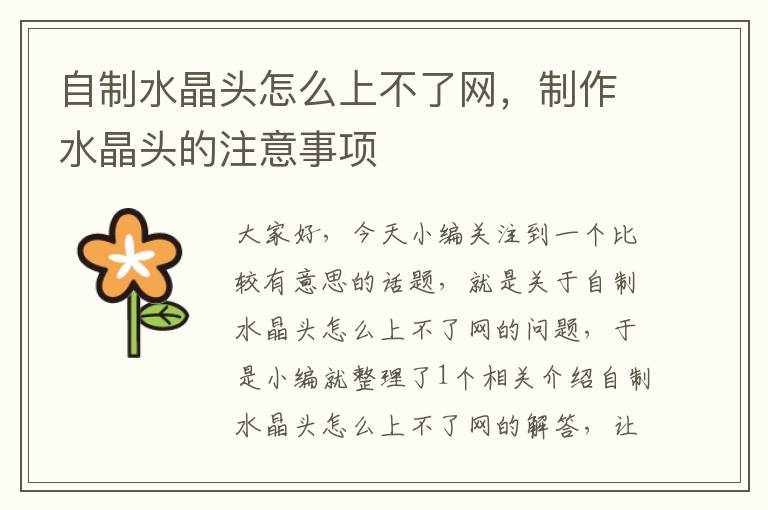 自制水晶头怎么上不了网,制作水晶头的注意事项