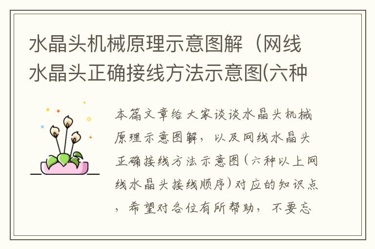 水晶头机械原理示意图解(网线水晶头正确接线方法示意图(六种以上网线水晶头接线顺序))