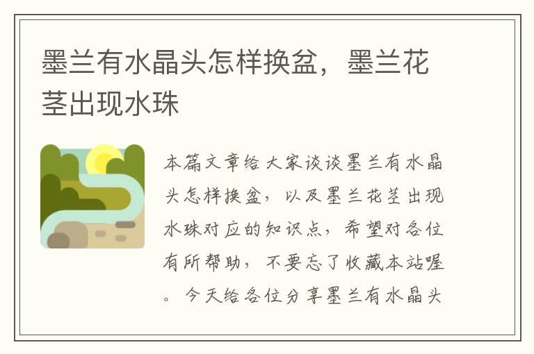 墨兰有水晶头怎样换盆，墨兰花茎出现水珠