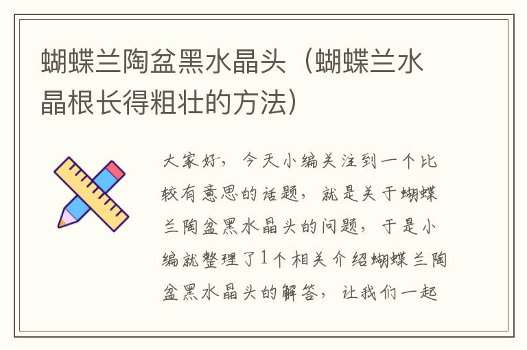 蝴蝶兰陶盆黑水晶头(蝴蝶兰水晶根长得粗壮的方法)