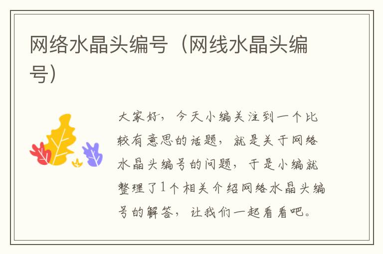 网络水晶头编号(网线水晶头编号)