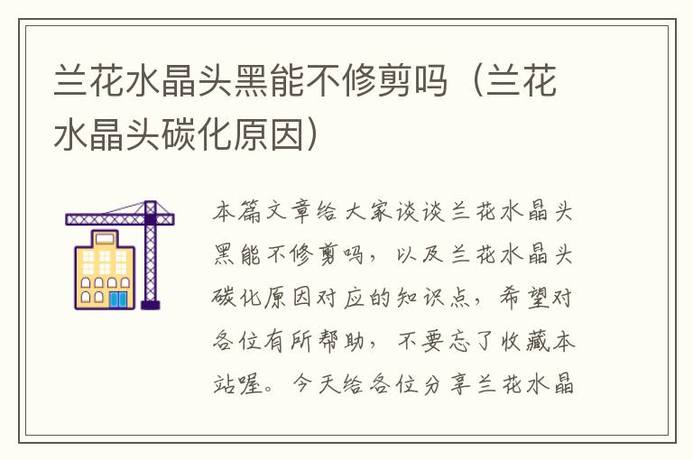 兰花水晶头黑能不修剪吗(兰花水晶头碳化原因)