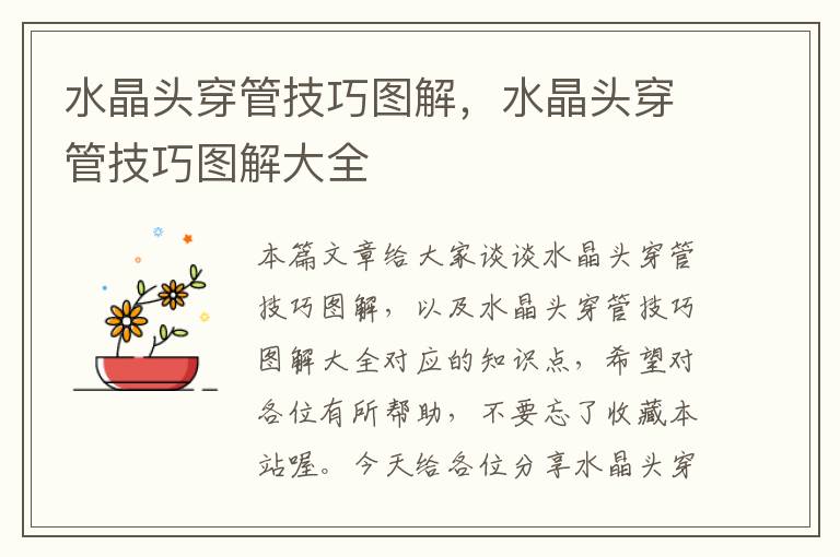 水晶头穿管技巧图解,水晶头穿管技巧图解大全