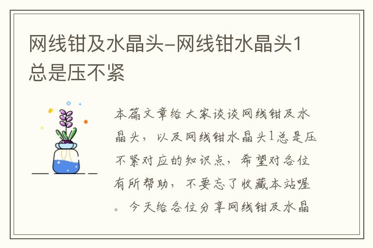 网线钳及水晶头-网线钳水晶头1总是压不紧