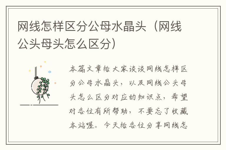网线怎样区分公母水晶头(网线公头母头怎么区分)