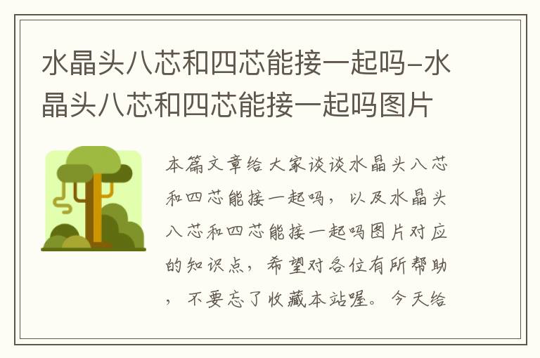 水晶头八芯和四芯能接一起吗-水晶头八芯和四芯能接一起吗图片