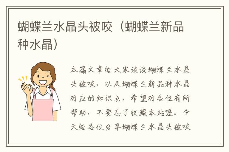 蝴蝶兰水晶头被咬(蝴蝶兰新品种水晶)