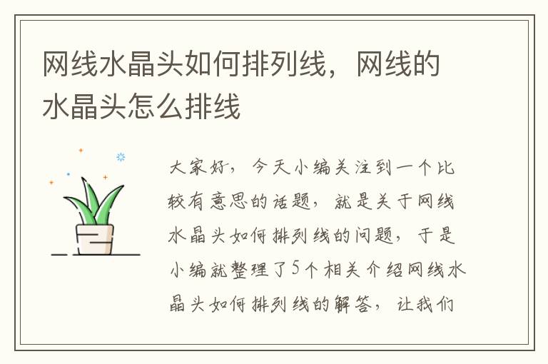 网线水晶头如何排列线,网线的水晶头怎么排线