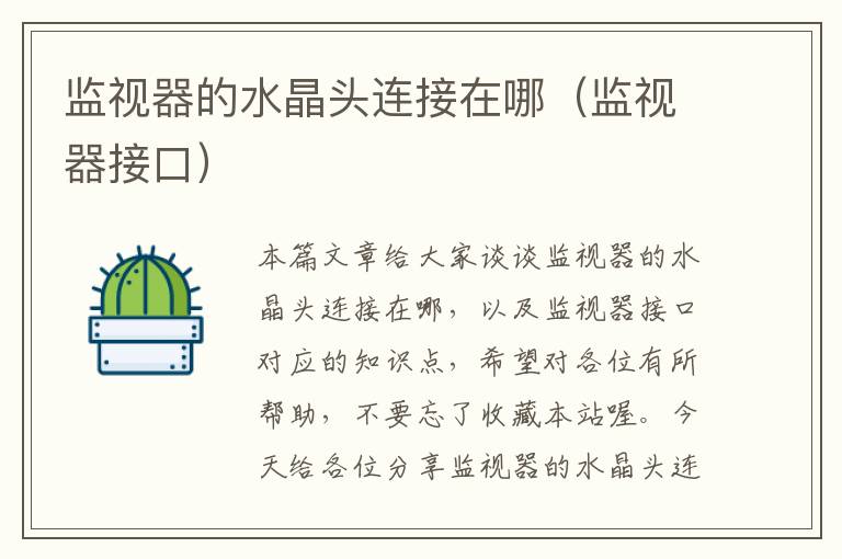 监视器的水晶头连接在哪（监视器接口）