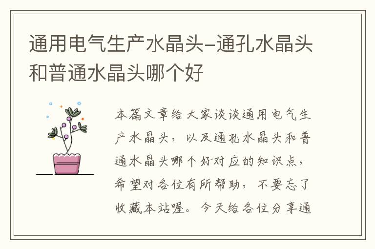 通用电气生产水晶头-通孔水晶头和普通水晶头哪个好