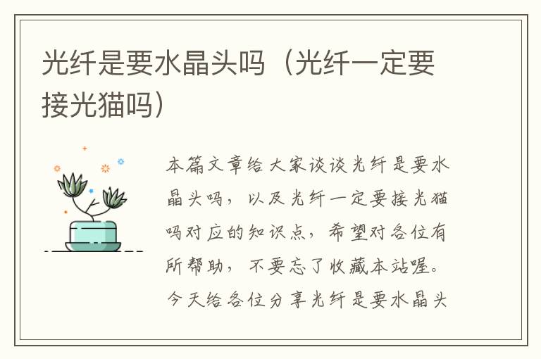 光纤是要水晶头吗(光纤一定要接光猫吗)