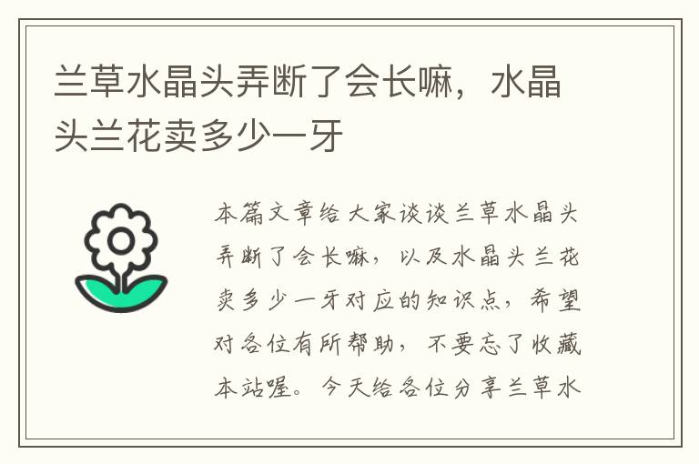兰草水晶头弄断了会长嘛,水晶头兰花卖多少一牙