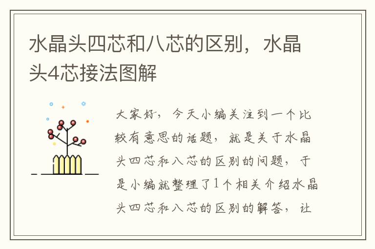 水晶头四芯和八芯的区别,水晶头4芯接法图解