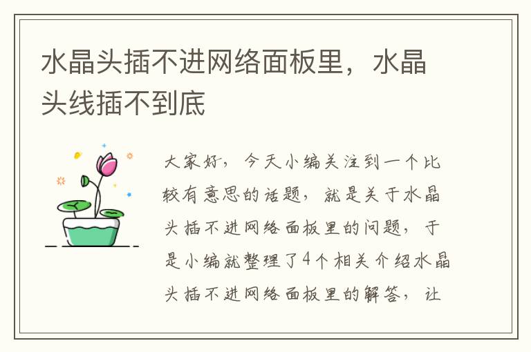 水晶头插不进网络面板里,水晶头线插不到底