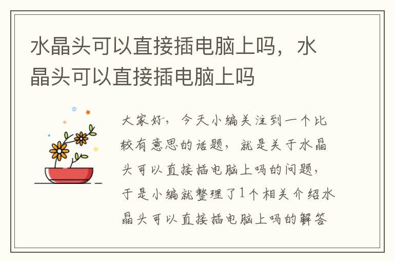 水晶头可以直接插电脑上吗,水晶头可以直接插电脑上吗
