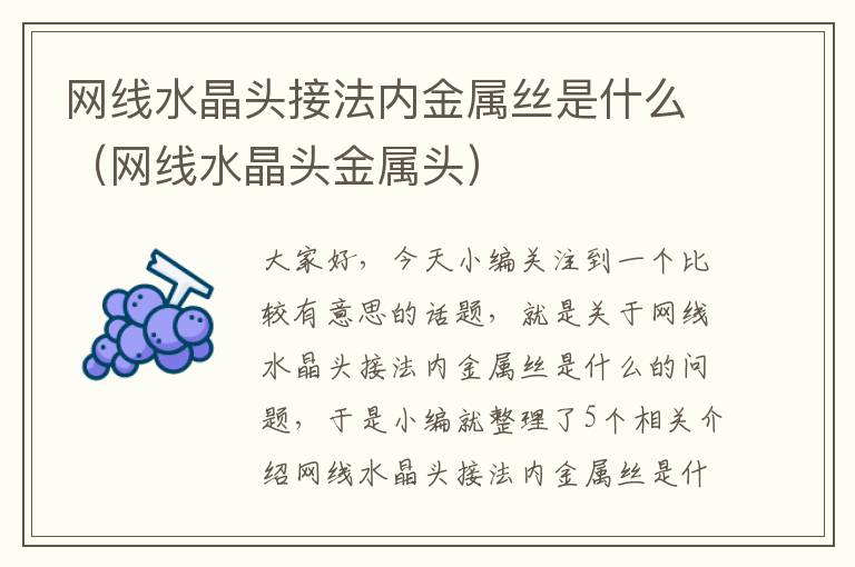 网线水晶头接法内金属丝是什么(网线水晶头金属头)