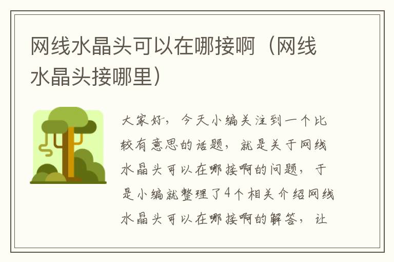 网线水晶头可以在哪接啊(网线水晶头接哪里)