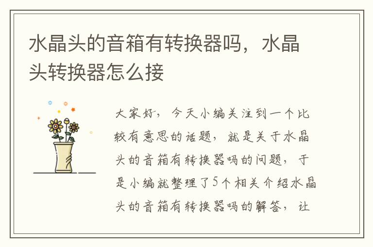 水晶头的音箱有转换器吗,水晶头转换器怎么接