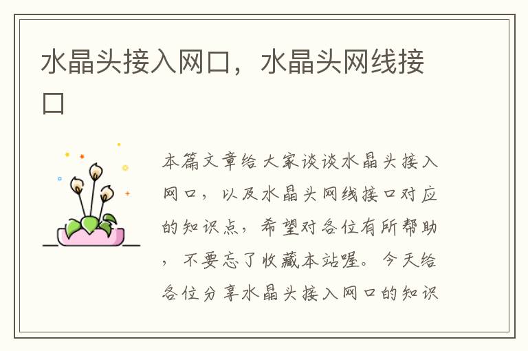 水晶头接入网口,水晶头网线接口