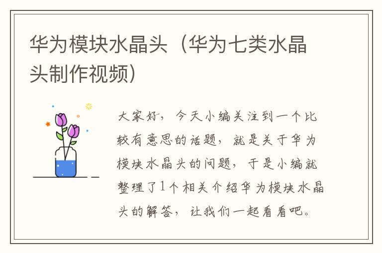 华为模块水晶头(华为七类水晶头制作视频)