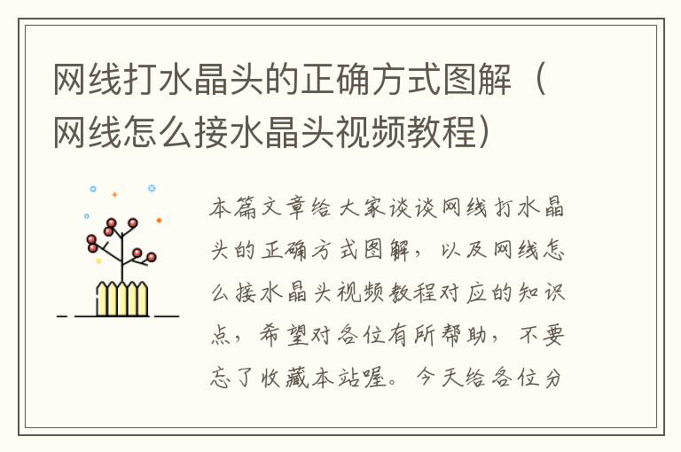 网线打水晶头的正确方式图解(网线怎么接水晶头视频教程)