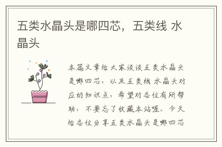 五类水晶头是哪四芯,五类线 水晶头