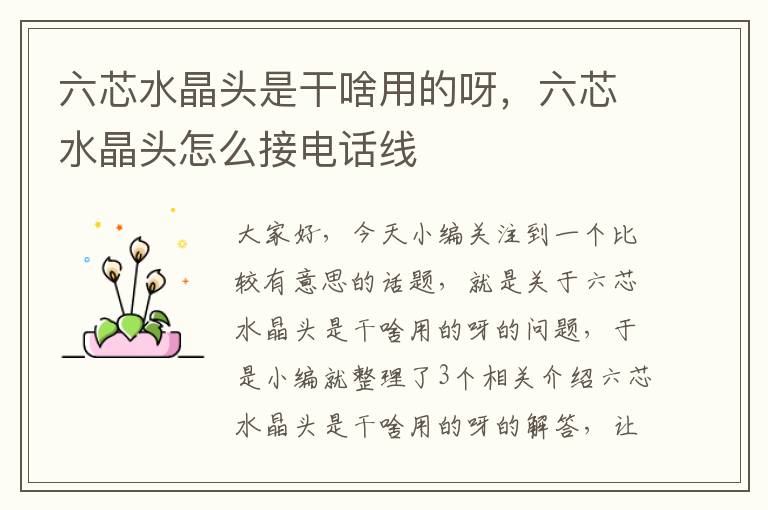六芯水晶头是干啥用的呀,六芯水晶头怎么接电话线