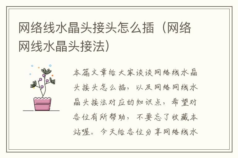网络线水晶头接头怎么插(网络网线水晶头接法)