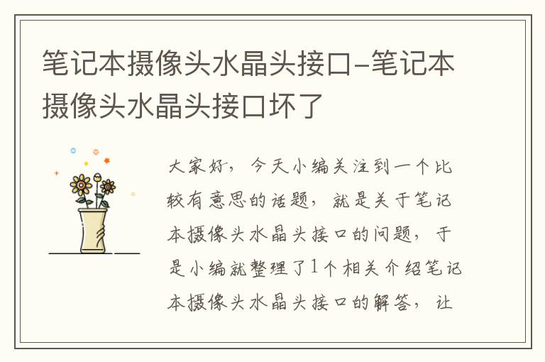 笔记本摄像头水晶头接口-笔记本摄像头水晶头接口坏了