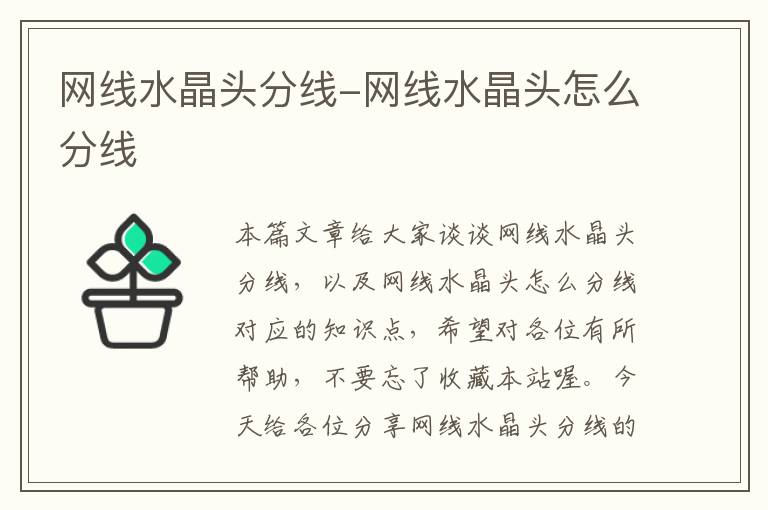 网线水晶头分线-网线水晶头怎么分线