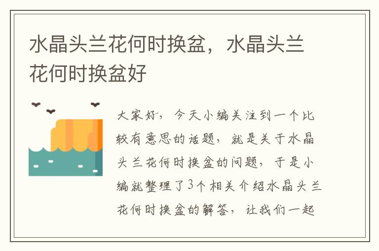 水晶头兰花何时换盆,水晶头兰花何时换盆好