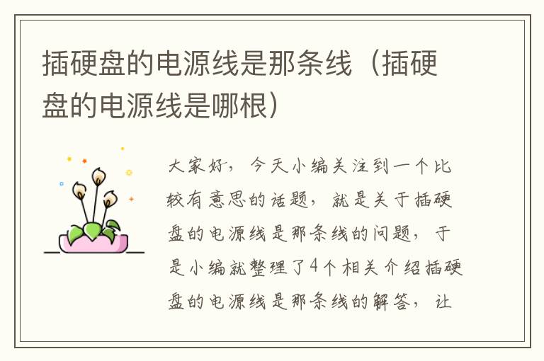 插硬盘的电源线是那条线(插硬盘的电源线是哪根)