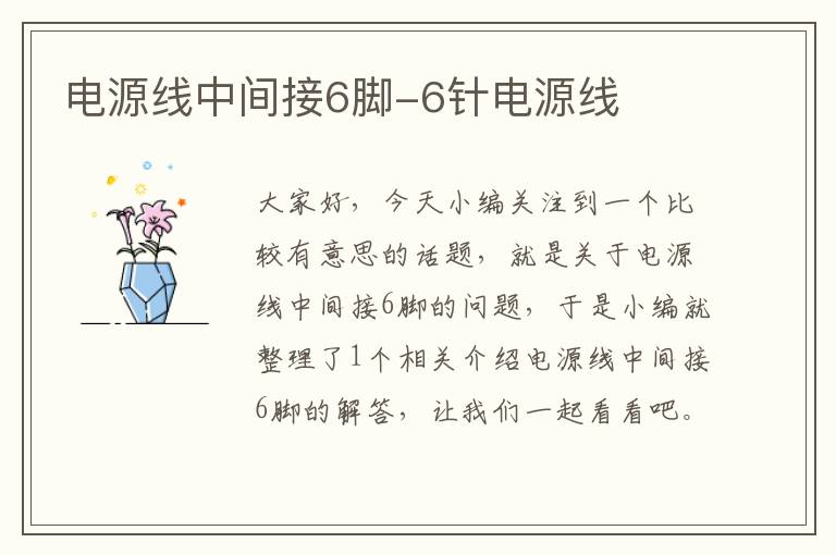 电源线中间接6脚-6针电源线