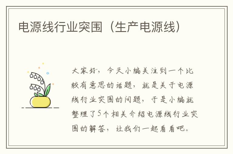 电源线行业突围(生产电源线)