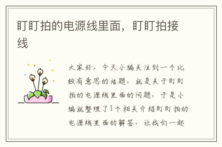 盯盯拍的电源线里面,盯盯拍接线