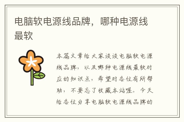 电脑软电源线品牌,哪种电源线最软