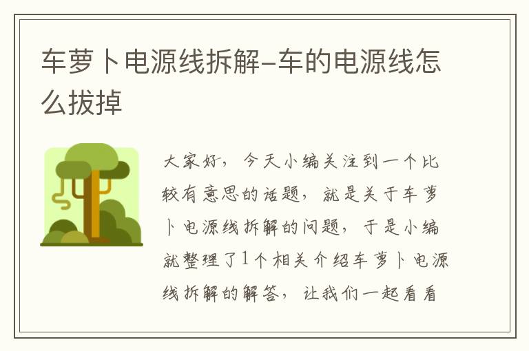 车萝卜电源线拆解-车的电源线怎么拔掉