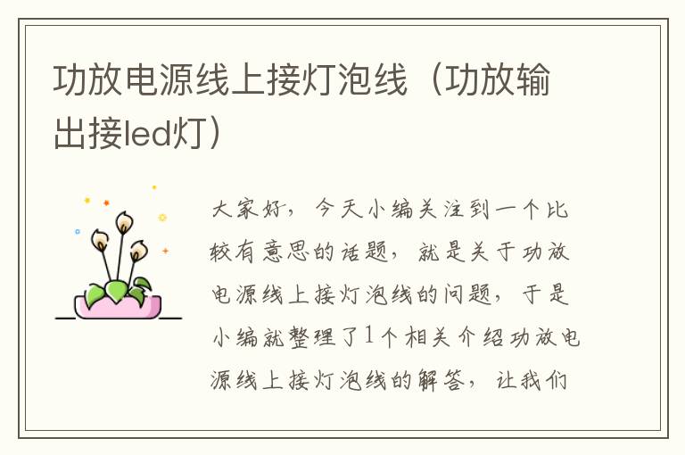 功放电源线上接灯泡线(功放输出接led灯)