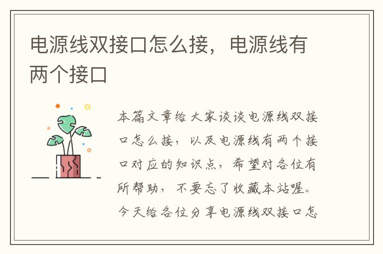 电源线双接口怎么接,电源线有两个接口